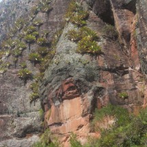 Inca warrior in the rock wall